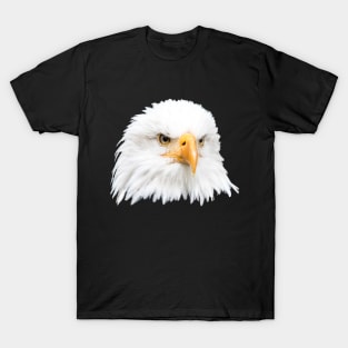 Bald eagle T-Shirt